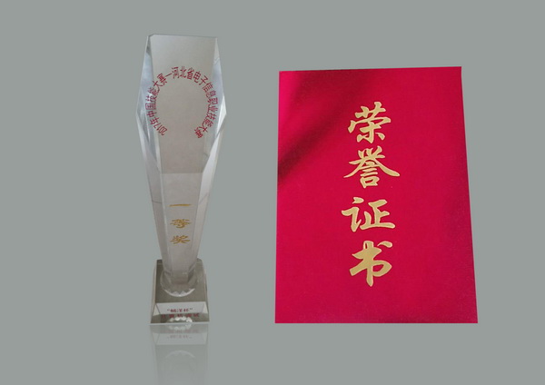 个人一等奖.jpg