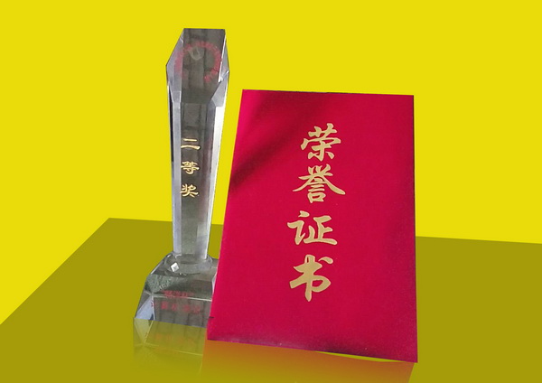 个人二等奖.jpg