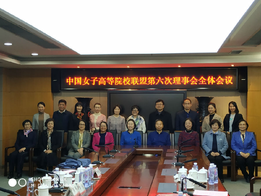 联盟第六次理事会全体会议.jpg
